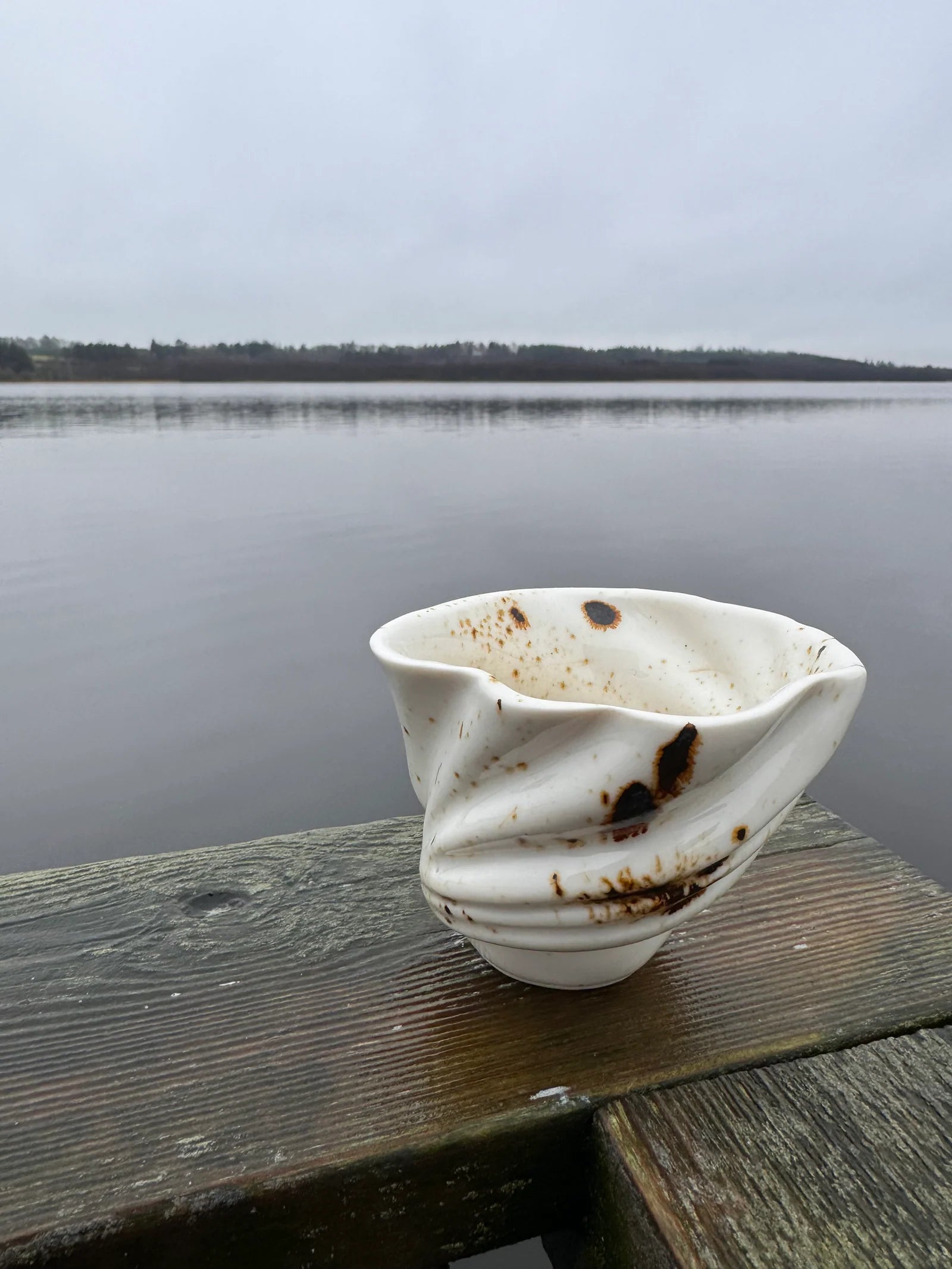 Svanen Cup /FORPÖNTUN 16. des