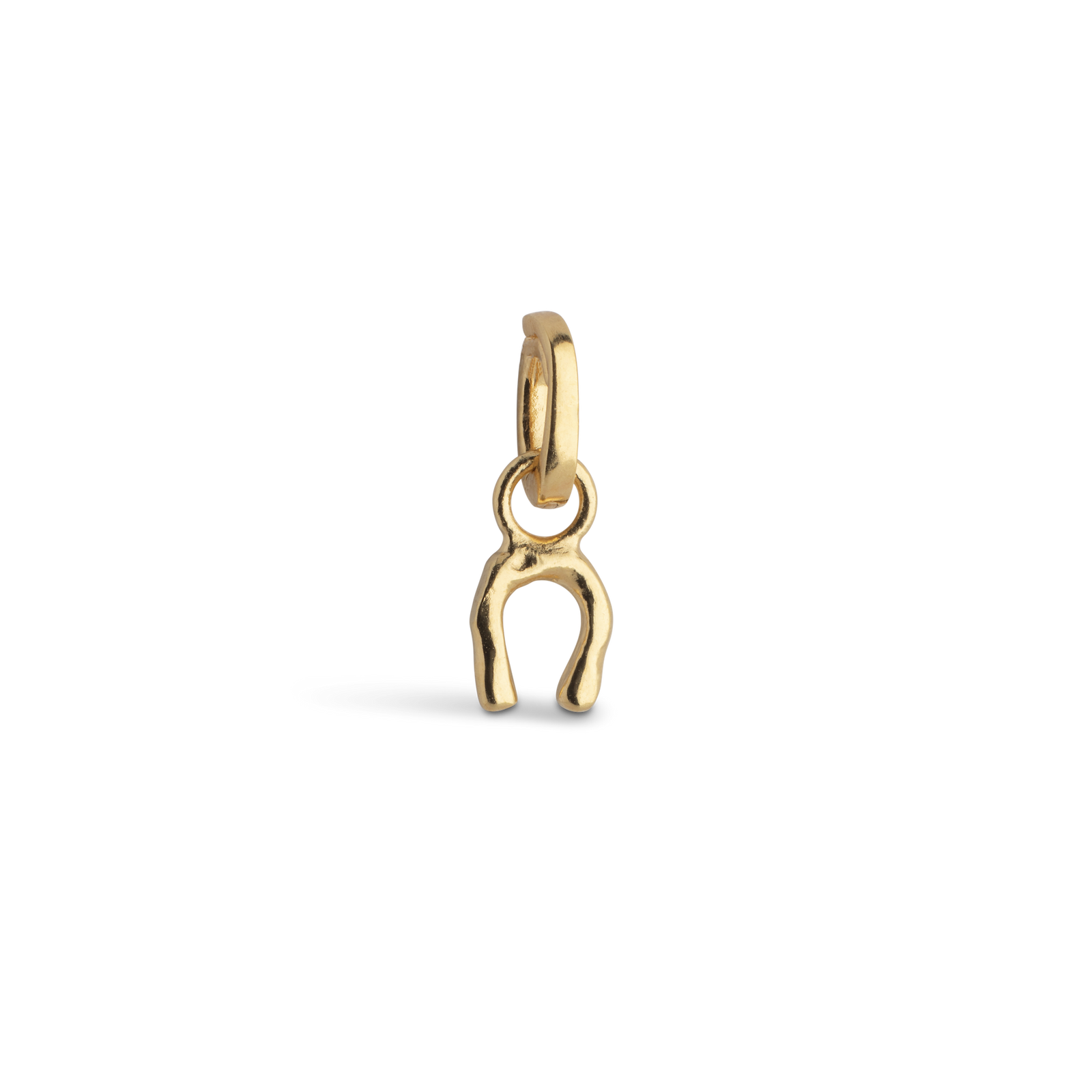 Charm, Lucky Horseshoe