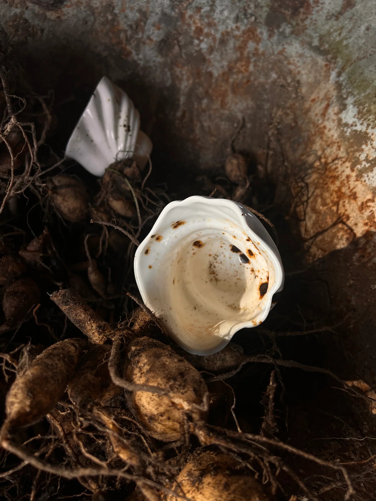 Svanen Cup /FORPÖNTUN 16. des