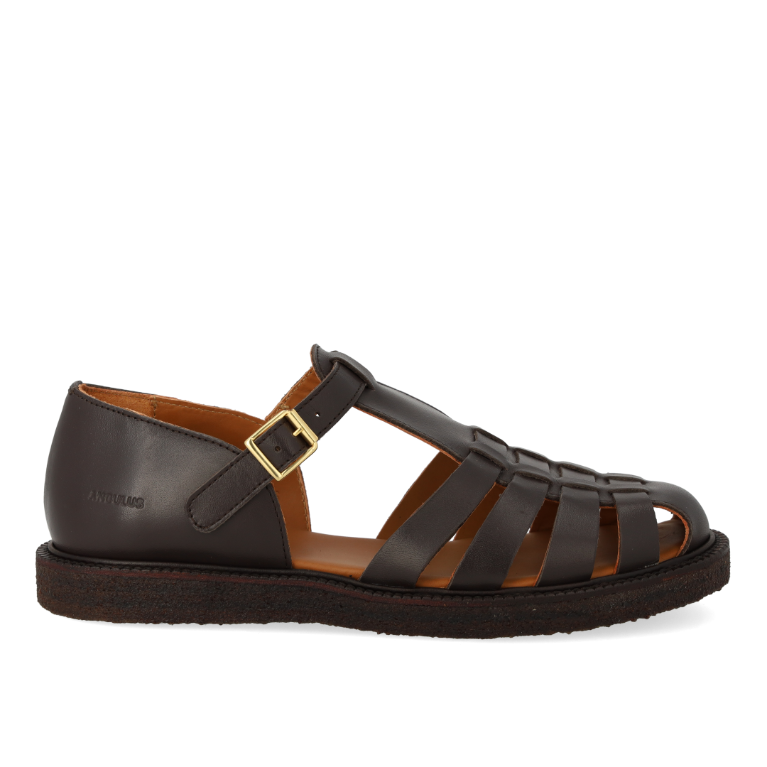 Strap buckle sandal, Dark Brown