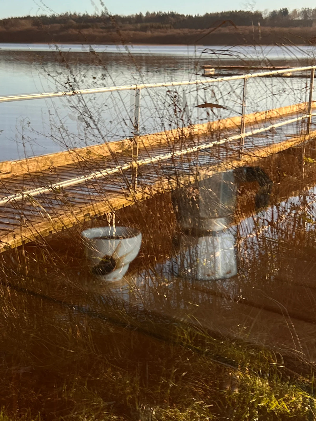 Sort Sol Cup, Espresso / FORPÖNTUN 16. des