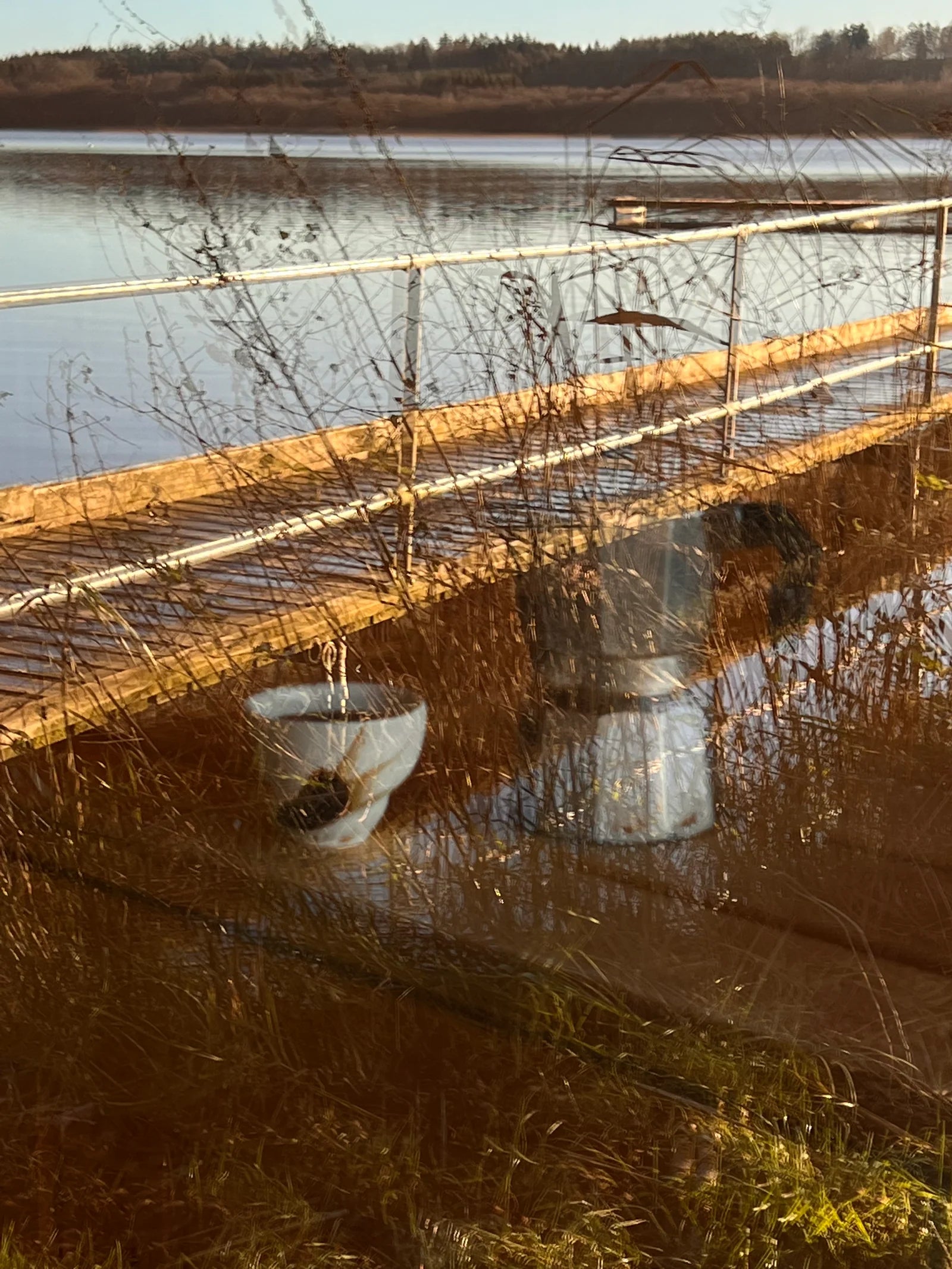 Sort Sol Cup, Espresso / FORPÖNTUN 16. des