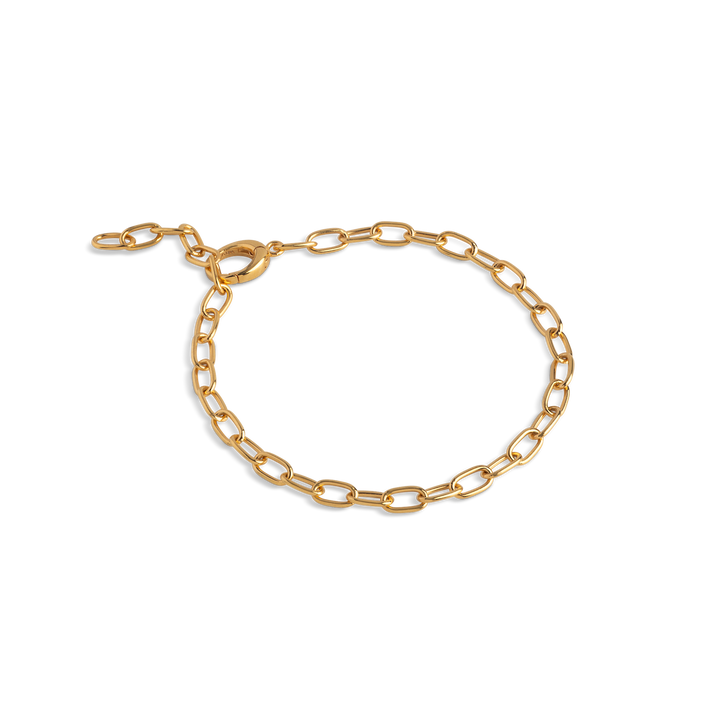 Bracelet, Medium Charm
