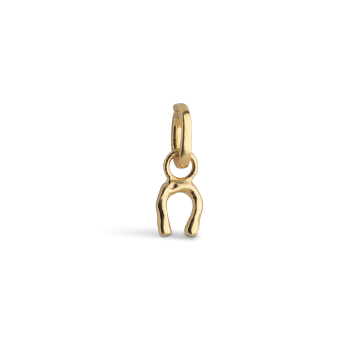 Charm, Lucky Horseshoe