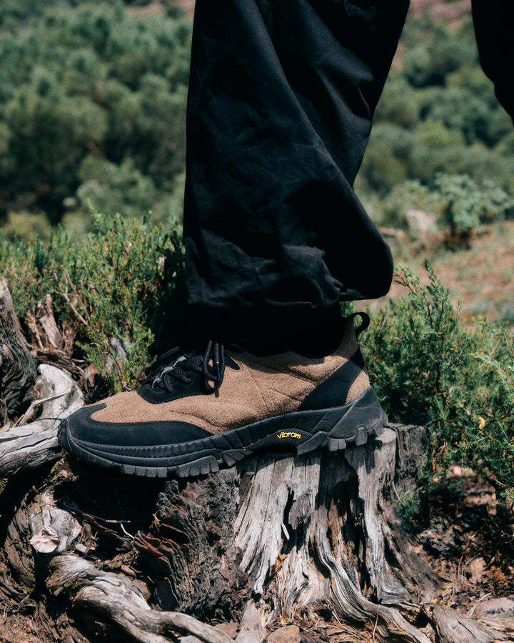 Trail X Amber