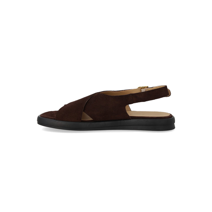 Cross Sandal Suede, Dark Brown
